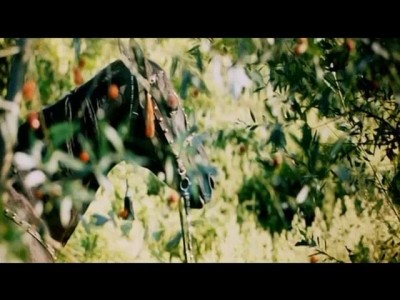 Нам жизнь мгновенье подарила