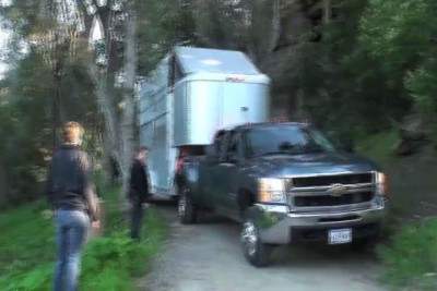 Транспортировка жирафа