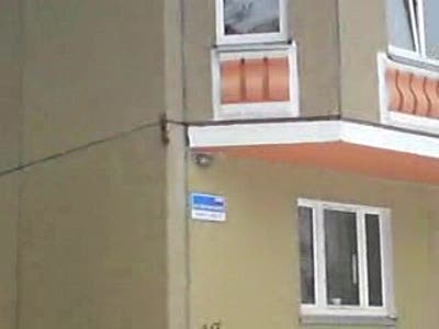 Белка домолаз