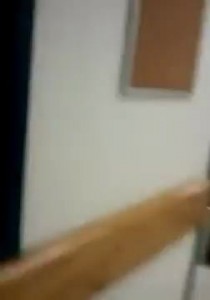 Прикол в офисе со змеей