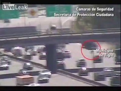 Бабуля переходит хайвей