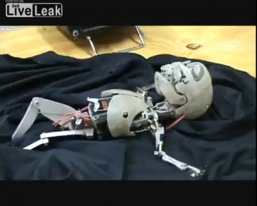 Новорожденный терминатор