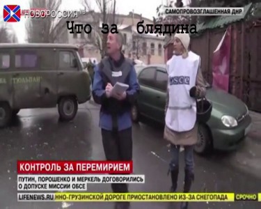 Блядина в ОБСЕ