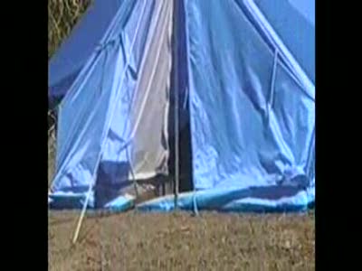 Дорогой, я уже дома!