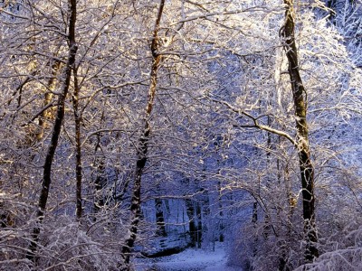 Снежный вальс