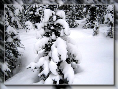 Новый год к нам мчится....