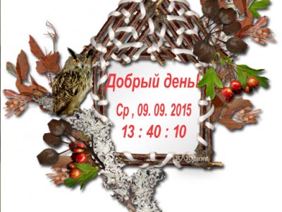 домие на ветке