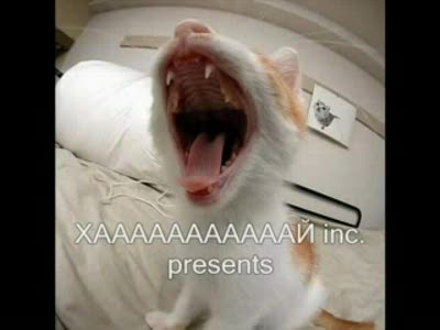 билан караоке