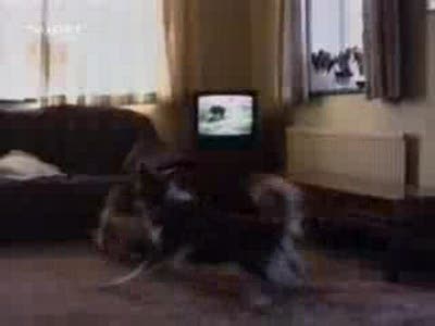 Старое, доброе