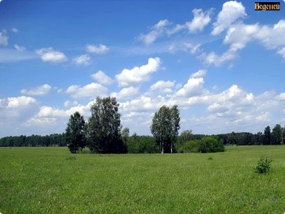 Ennio Morricone.-The Wind The Shout.