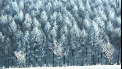 君住む街へ  小田和正（オフコース）