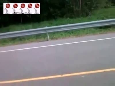 Неудачно перебежал дорогу ...