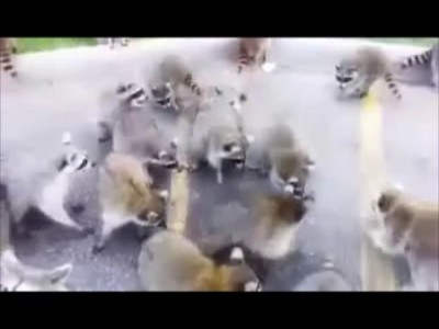 война миров Z