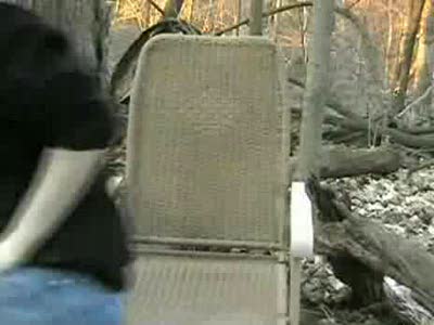 Лузер и пейнтбол