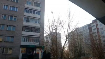 Спасение кота который застрял на дереве , Rescue cat is stuck in a tree