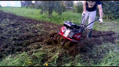 отчет т.Зое