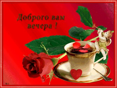 Доброго вам вечера !