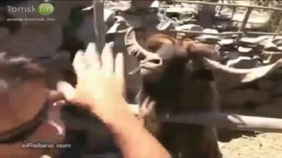 спор с тазодрочером
