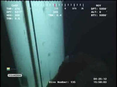 В океане засняли странное существо