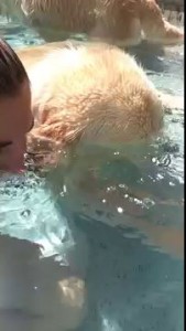 А теперь ты пускай пузыри