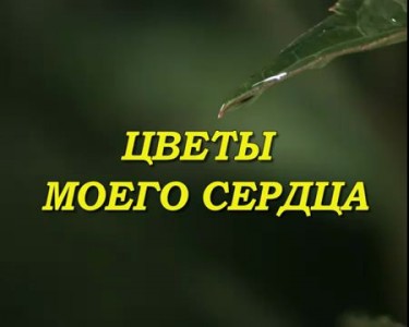 РАСПУСКАЮЩИЕСЯ ЦВЕТЫ ПОД МУЗЫКУ ШРИ ЧИНМОЯ