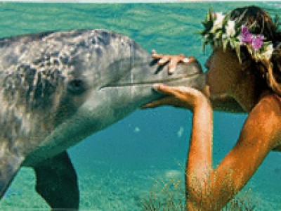 И.Николаев и Н.Королева "Дельфин и Русалка"