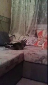 Кузя с сигаретой