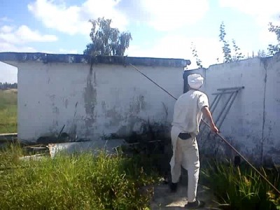 Уничтожение шершней