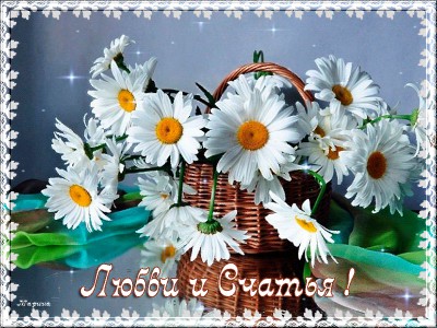 Любви и счастья !