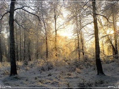 Вячеслав Ольховский. Утро Туманное.