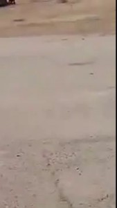 Казахстанский Маугли