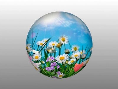 Шарик с ромашками