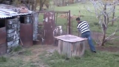 Поединок грузина и барана