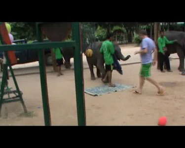 Слоновий массаж