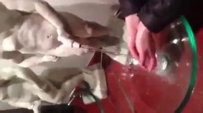 Девушки любят подергать.