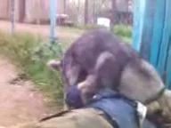 в несколько подходов))