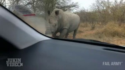 Лучшие фэйлы и неудачи прошедшей недели