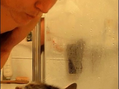 О БОЖЕ КАКАЯ ТЁЛКА