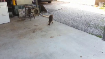 миссия невыполнима