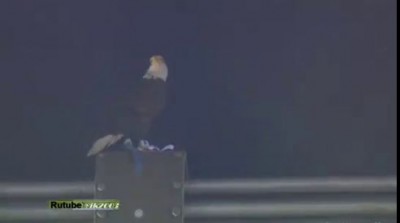 порвал сетку ворот