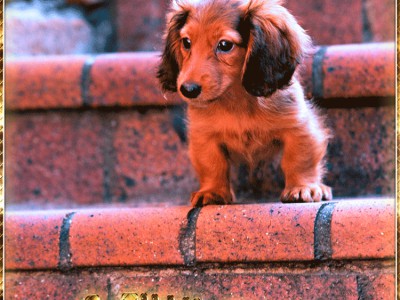 Найдите друга