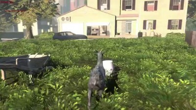 Симулятор козы