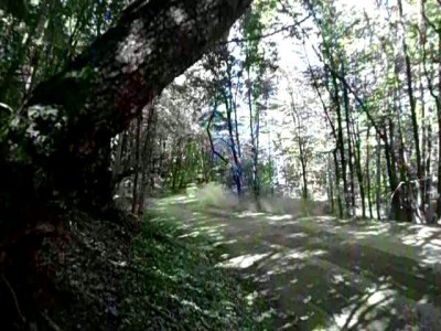 Рали Ялта айпетри 2012г