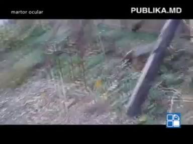 В парке на Ботанике нашли гроб