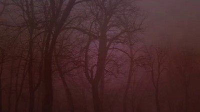 Hovert - Безысходность