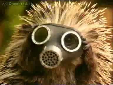 Ежики у дороги