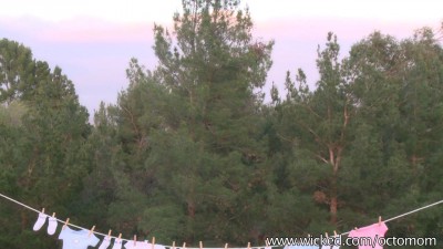 Восьмимама