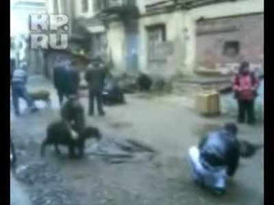 В центре Петербурга устроили кровавую резню