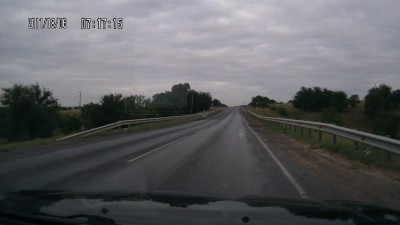 Сабака на дороге