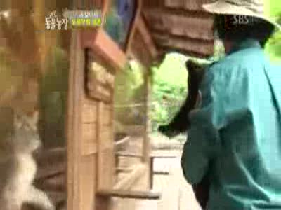 Трусливый мишка